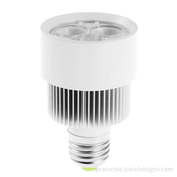 LED Spot Light (R63V-6W)